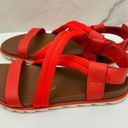 Sorel  Womens Roaming Deacon Sandals Size 8 Strappy Leather Red Orange Photo 0