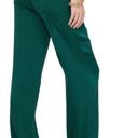 ANINE BING Classic Pant In Emerald Silk Photo 12