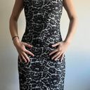 Tommy Hilfiger Lace Cocktail Dress Size 8 Photo 0