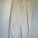 Talbots  Chatham Fly Front Ankle Pants - Solid - Curvy Fit Beige XL Size 12 Photo 3