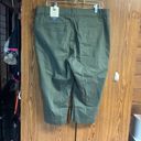 st. john's bay 💥3/20💥  Capri Pants khaki green Sz 16 NWT Photo 1