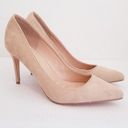 Bella Marie  Light Taupe Suede Pointy High Heel Photo 1