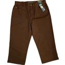 Ralph Lauren Lauren Jeans Co.  brown cropped chino pants Size 12 NWT Photo 0