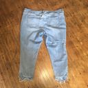 Lane Bryant  light wash ruffle hem size 26 ankle jeans Photo 4