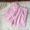 Sophie Rue  High Waisted Pink Shorts NWT Photo 0