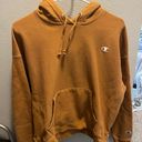 Champion Reverse Weave Sweatshirt Photo 0