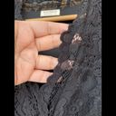 Onyx Kiyonna Mademoiselle Lace Dress -  2 X Photo 7