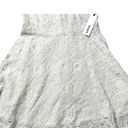 BB Dakota  Off White A-Line Fit And Flare Mini Dress Sleeveless Lace Knit 6 Photo 2