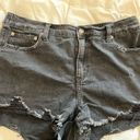 Aerie Distressed Light Black Jean Shorts  Photo 2