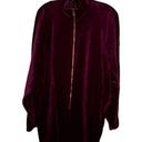 Krass&co Vintage  Ellen Tracy Velour Dress Photo 0