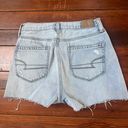 American Eagle Outfitters Denim Shorts Photo 1