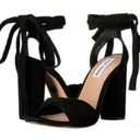 Steve Madden  Clary Wrap Heels Photo 0