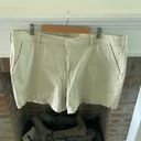 Lane Bryant  Cream Colored Chino Shorts Plus Size 24 Business Casual Curvy Photo 1