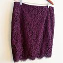 Ann Taylor ✨ 3/$15 SALE ✨   Lace Overlay Pencil Skirt Size 14 NEW Photo 3