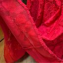 Betsy and Adam  Red Lace Mermaid Formal Maxi Dress Gown Sexy Romantic Feminine Photo 9