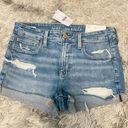 American Eagle Outfitters Shorts Photo 0