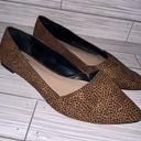 mix no. 6  Leopard Print Pointed Slide On Shoes Ballet Flats Photo 0