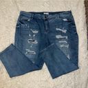 Lane Bryant  Distressed Size 24 Jeans Photo 0