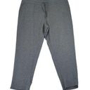 Champion  Elite Gray Sweats Lounge Pants Women's Size XXL Photo 0