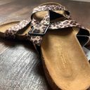 American Eagle Outfitters Leopard Flats Photo 2