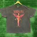 Nirvana, in utero grunge, oversize rock T-shirt, size 2XL Photo 0