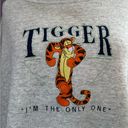 Disney Vintage  Grey Tigger Pullover Fleece Sweater Rare In the Only One Pooh XL Photo 1