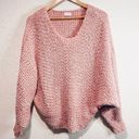 Pink Lily  Sweater - Size Large Photo 0