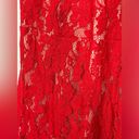 Sans Souci Red lace dress Photo 2