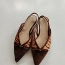 Ann Taylor NEW  Brown Zebra Print Calf Hair Fur Pointed Toe Flats WOMENS SIZE 7M Photo 1