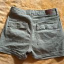 American Eagle Outfitters Cargo Shorts Photo 1