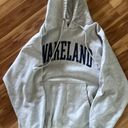 Vintage Sweatshirt Gray Size L Photo 1