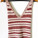 Free People Ditsy Stripe Knit Tank Top Photo 5