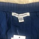 American Eagle  Outfitters blue ruffle skirt sz med Photo 1