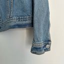 Calvin Klein  Denim Trucker Jacket Lyon Blue Logo Size Small Photo 5