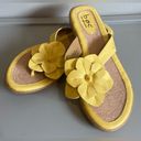 Born concept BOC  Women’s Yellow Sandal with Yellow Leather Flower Size 8 NWOT Photo 5