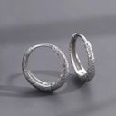 925 Silver Plated Small Hoop Earrings for Men, Unisex Punk Hip Hop Earrings Photo 0