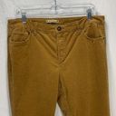 Ruff Hewn Skinny High Rise Corduroy Caramel Pants Size 14 Photo 1