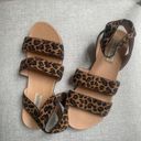 Steve Madden Leopard Print Sandals Size 7 Photo 0