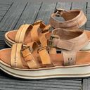 Roan Jude Sandal Women's Brown Leather Platform Wedge Sole Size 8.5 Tan Photo 4