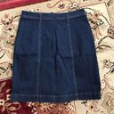 BCBGMAXAZRIA BCBG Skirt Size 12 Photo 2