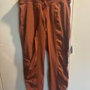 Lululemon  Dance Studio Jogger Dark Terracotta Size 6 Photo 2