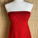 Donna Morgan Red Strapless Eyelet  Dress Photo 1