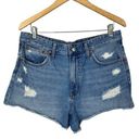 Madewell  Relaxed Denim Shorts in Renfield Wash Destructed Edition Size 30 Photo 0