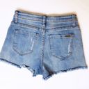 sts blue Jean Shorts size 24 Photo 2