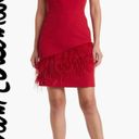 Sam Edelman Feather hem sheath Red Wine Dress NWT $158 Valentines Lady in red 6 Photo 1