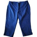 Eliane Rose  Blue Capris (18W) Photo 0