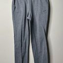 Nike  Dri-Fit Grey Tapered Sweatpants Women's Medium Photo 0