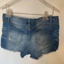 Bongo  Distressed Denim Short Photo 4