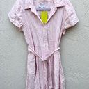 Alexis Dress Pink Striped Photo 1