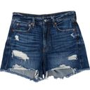 American Eagle  '90s Boyfriend Short Ripped Denim Jean Shorts Size 2 Photo 0